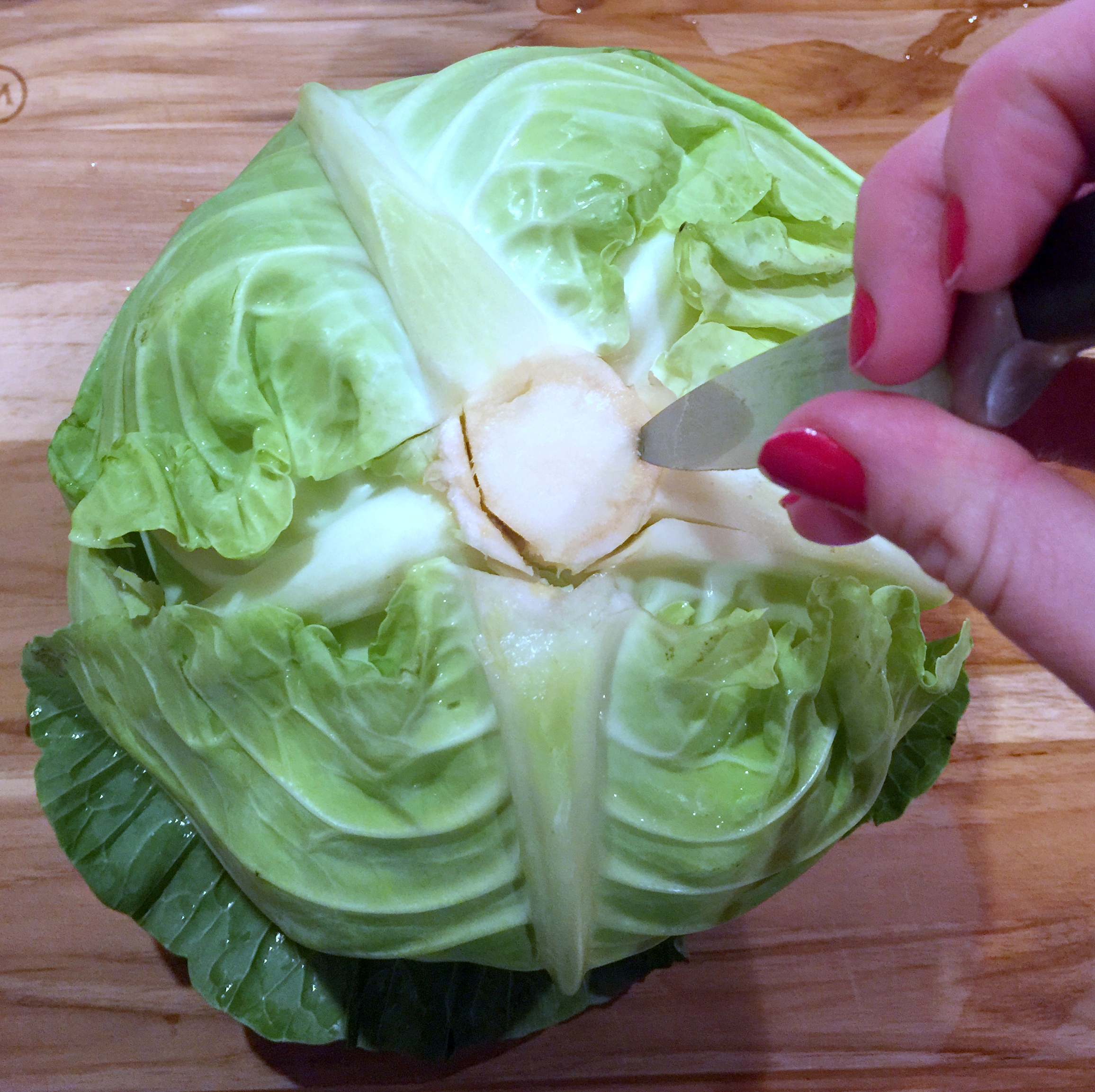 Stuffed Cabbage Rolls – You Bet Your Pierogi